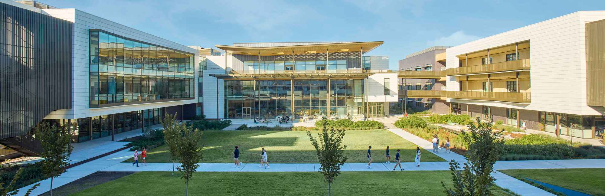 Students studying outdoors